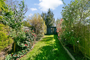 Garden- click for photo gallery